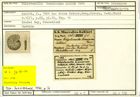 Karteikarte zum Holotyp von Polystomella tenuissima Karrer, 1864
